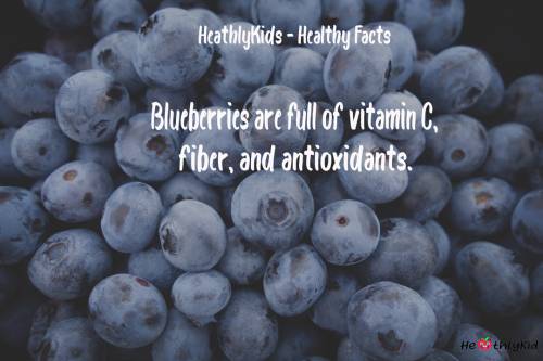 HealthyKid - Blueberries Facts - Blueberries are full of vitamin C, fiber, and antioxidants.