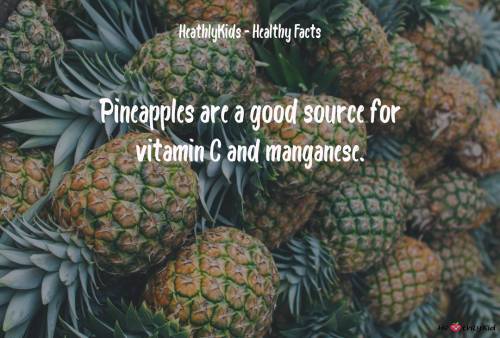 HealthyKid - Pineapples Facts - Pineapples are a good source for vitamin C and manganese.